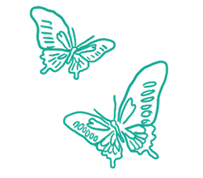 butterflies teal 2