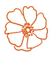 flower4 orange 1