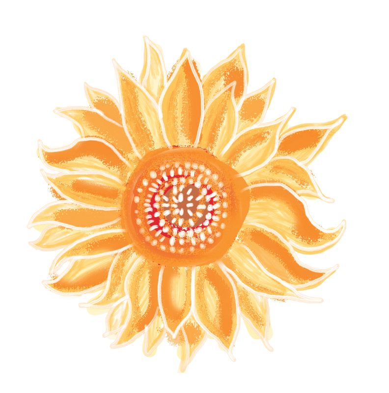 s.png